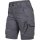 FlexLine Damen Shorts grau/schwarz