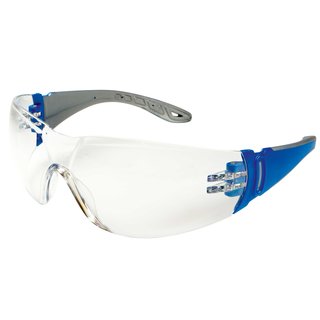 Panoram-Schutzbrille farblos PC 2 mm kratzfest + antifog